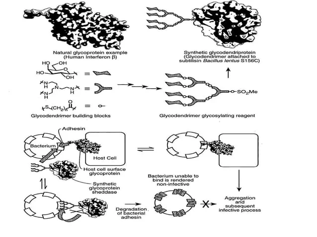 A series of pictures showing different types of biomaterials.