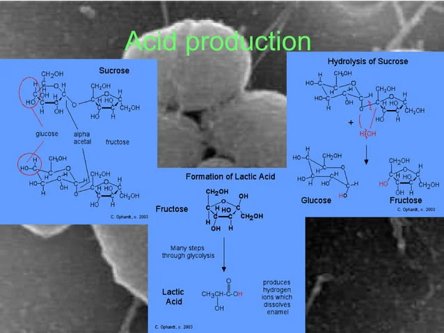 A picture of some acids and how they are made.