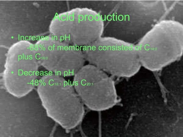 A close up of some plants with the words acid production