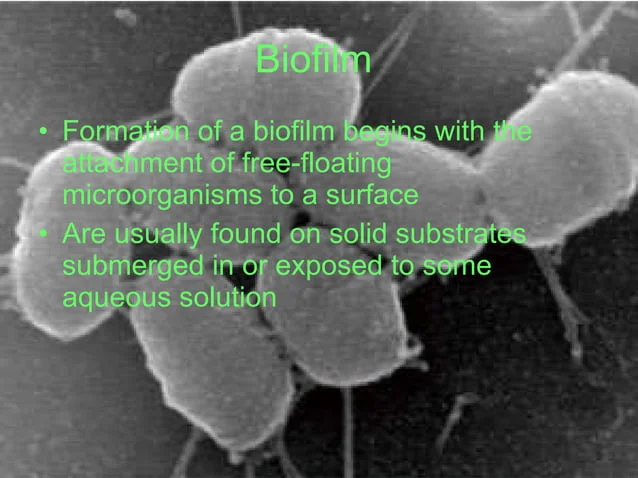 A close up of the word biofilm on top of a picture.