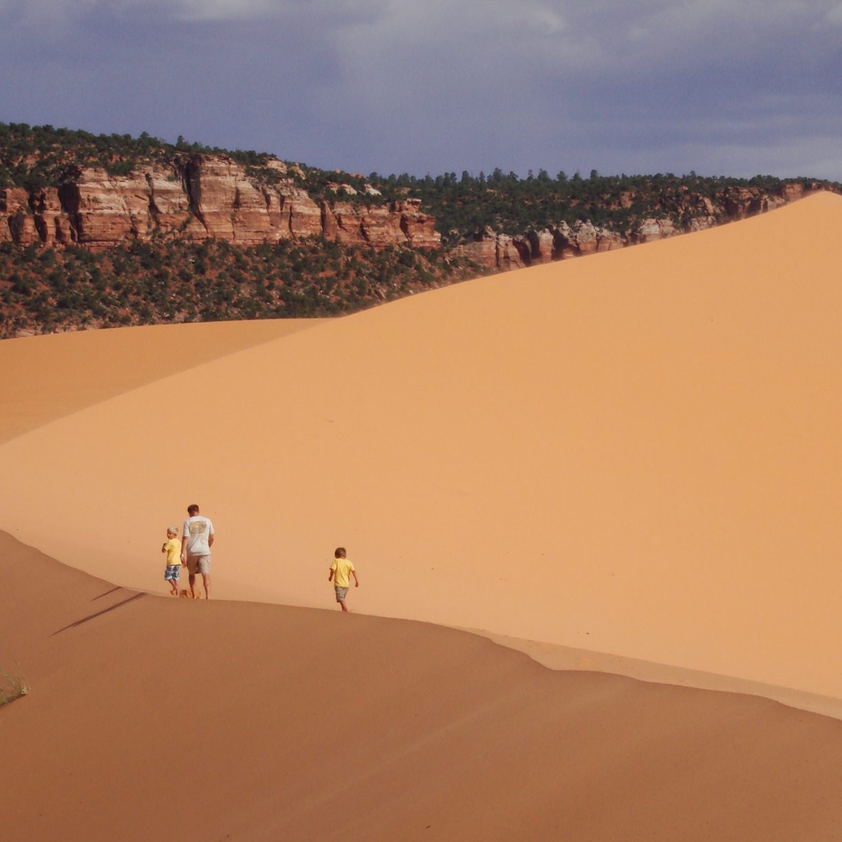 Two people are standing on a sand dune.