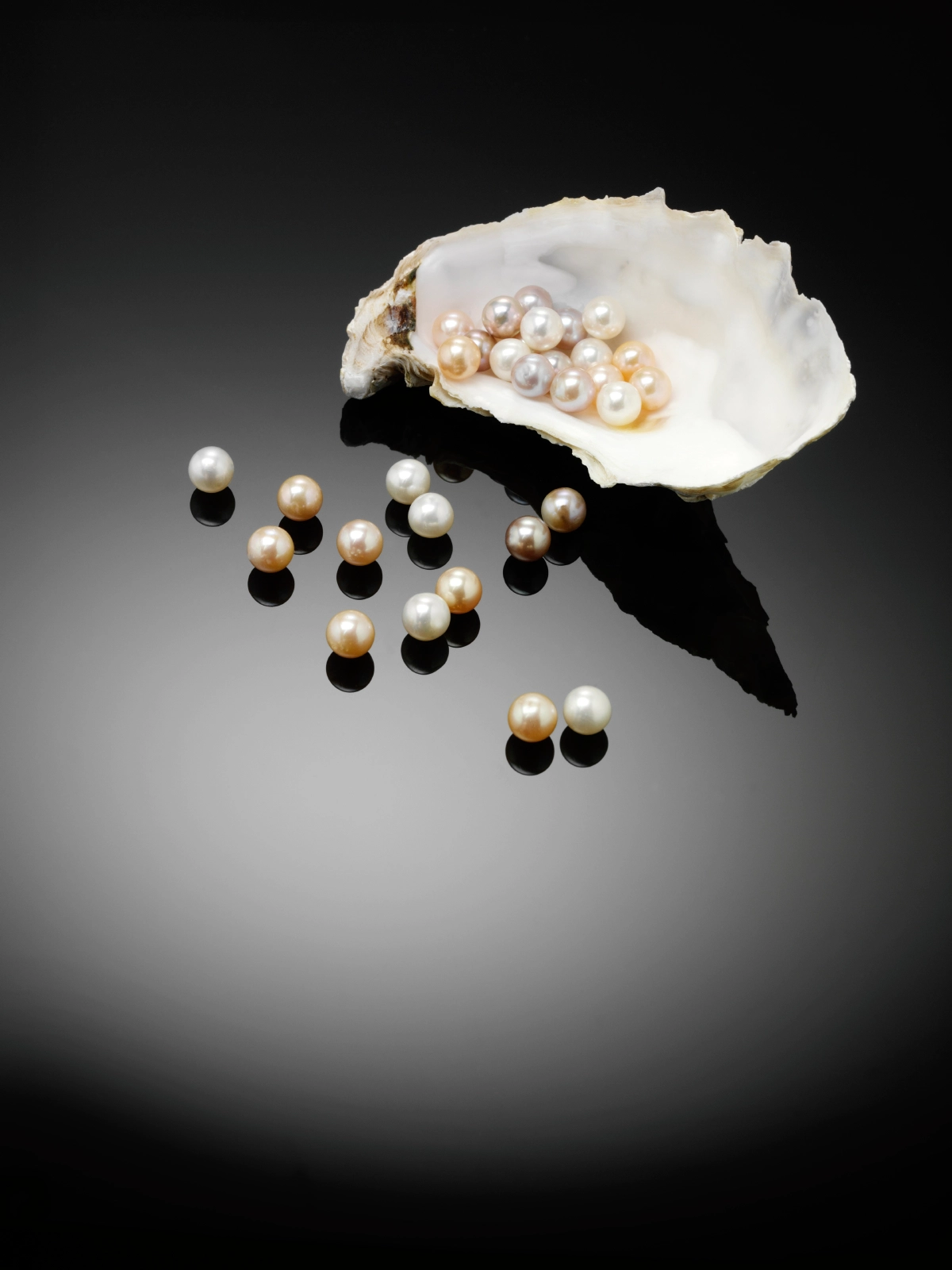 A shell with pearls on it sitting on top of the table.