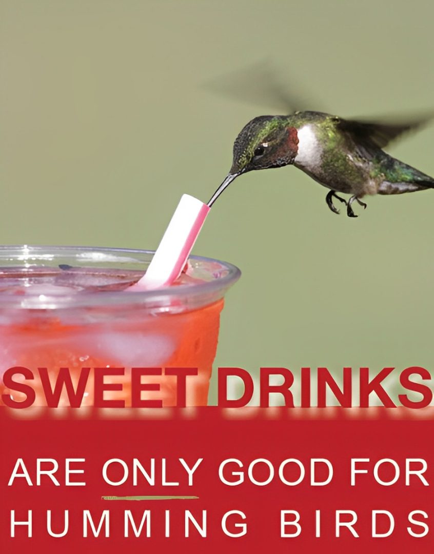 A hummingbird drinking from a glass with the words " sweet drinks are only good for you ".