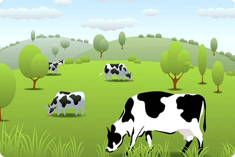 A herd of cows grazing in the grass.